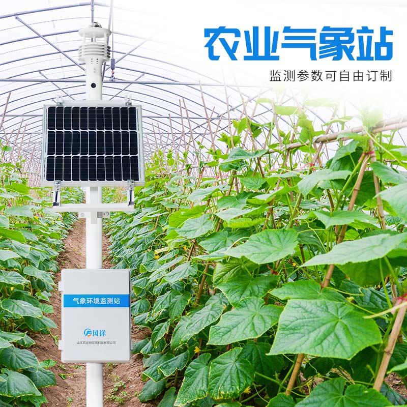 溫室栽培花卉，用農(nóng)業(yè)氣象站調(diào)控小氣候