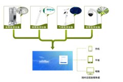 在番石榴的種植中，農(nóng)業(yè)四情監(jiān)測系統(tǒng)有何作用？