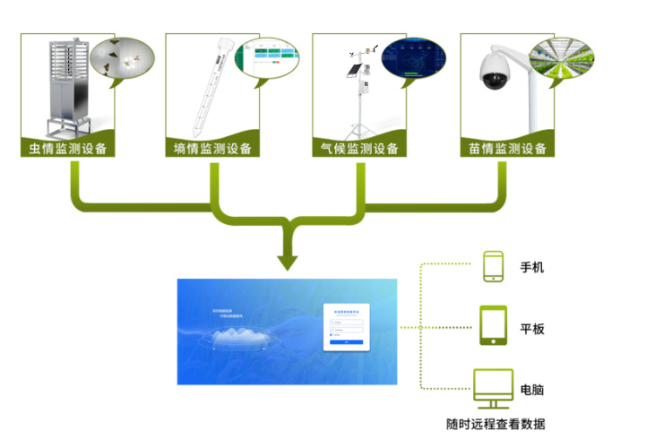 在番石榴的種植中，農(nóng)業(yè)四情監(jiān)測系統(tǒng)有何作用？